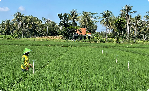 Lokasi implementasi ADOSISTERING di Desa KedungBenda, Purbalingga